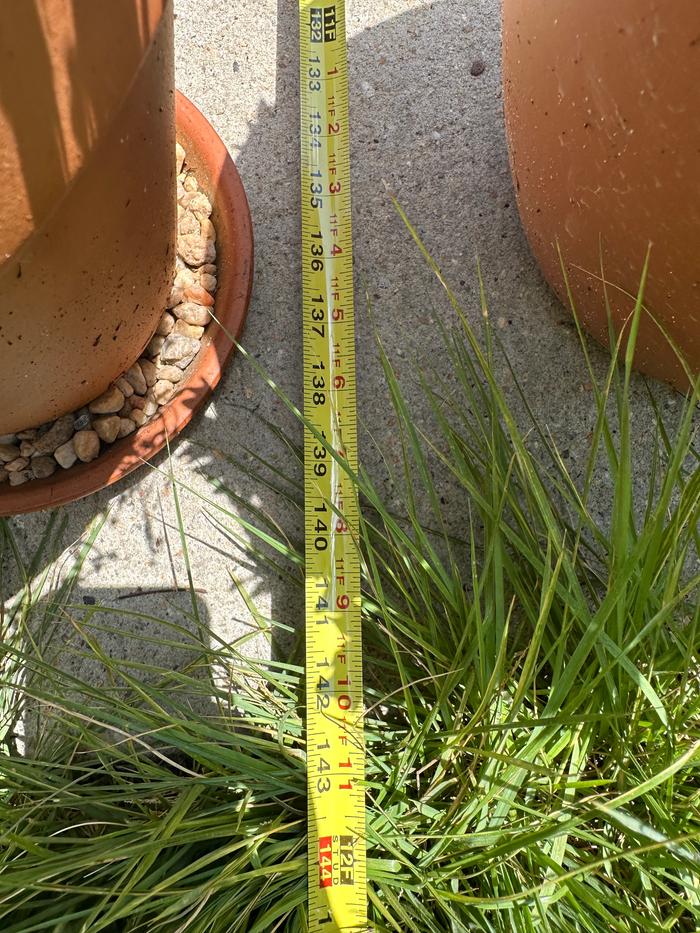 over 11 feet wide - 11x11=121 square feet or more
