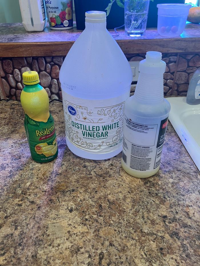 Ingredients are gathered.