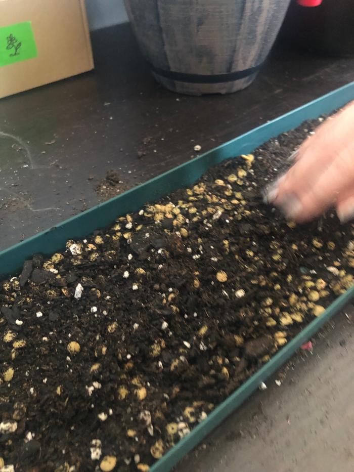 Smoosh 'em down but be kind to them.