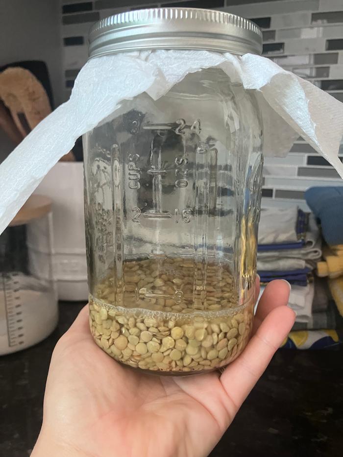 Soaking overnight 