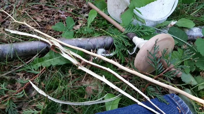 Cedar saplling with the bark pealed off (saving the bark for weaving projects!)