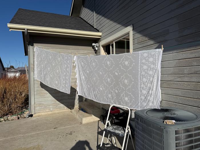 Out to dry on a sunny day