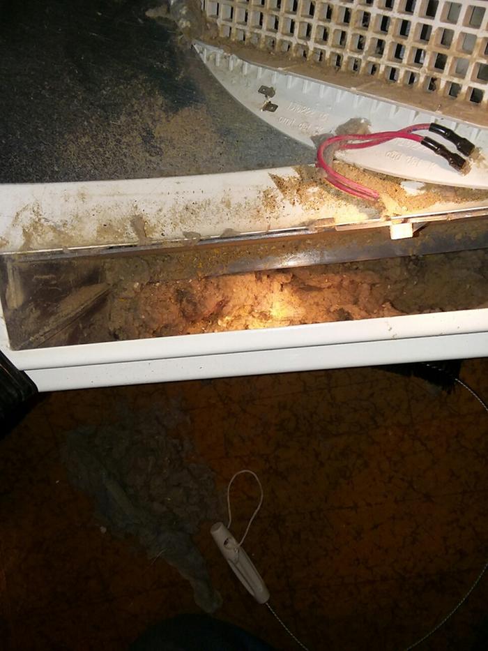 Took off the cover. Ohhh... That's where the lint is coming from...