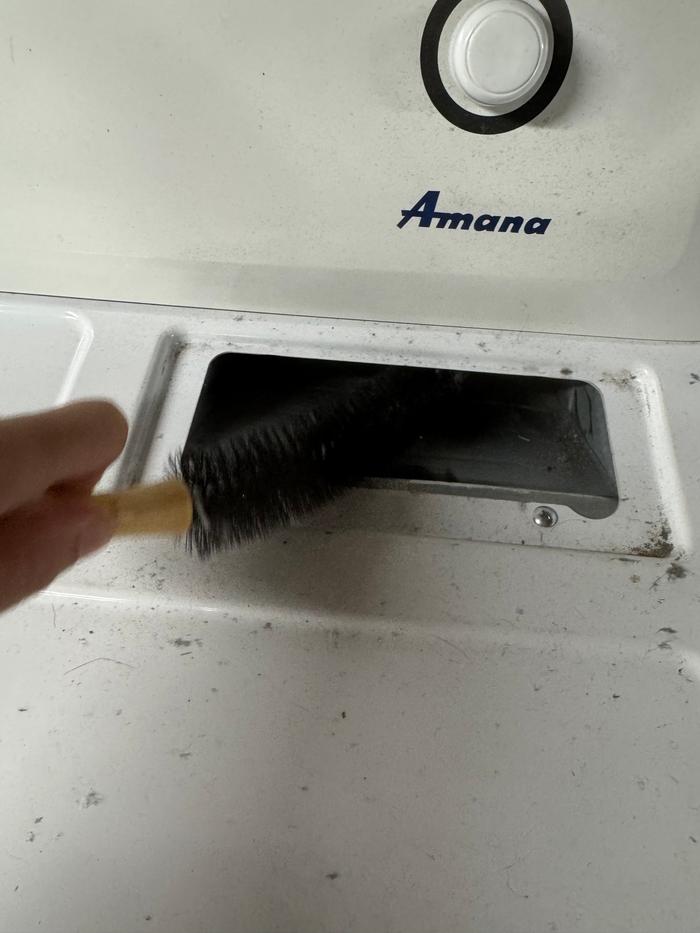 Brushing out the lint collector