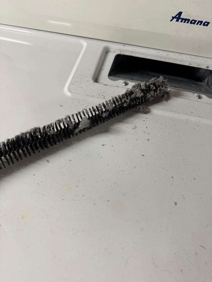 Some dust bunnies 