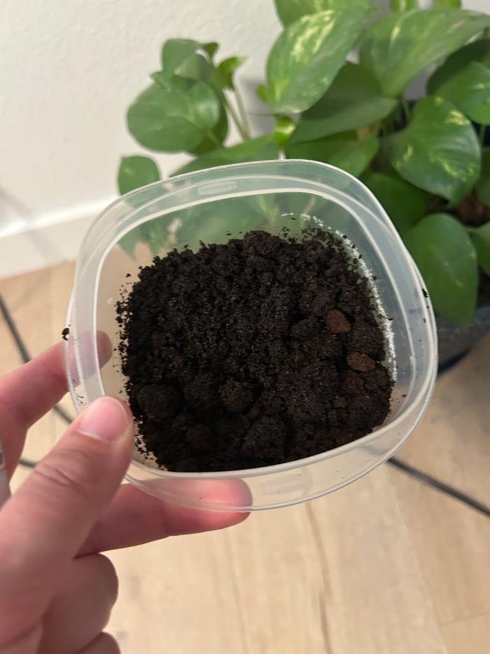 Coffee grounds about to get added
