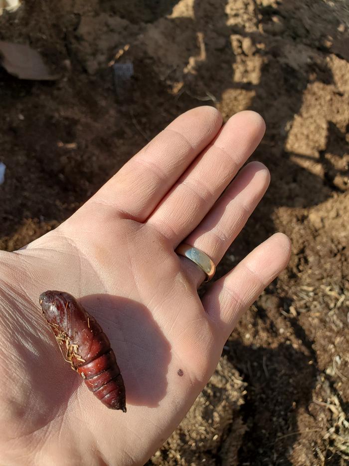 [Thumbnail for 20210319_161200.jpg]