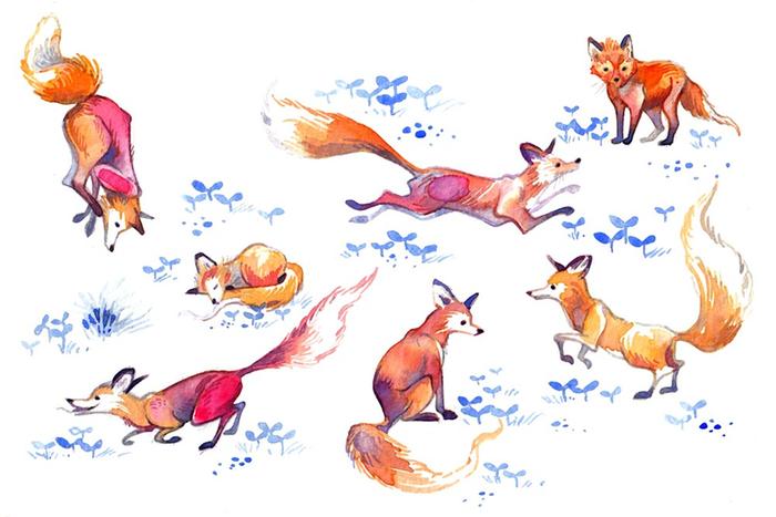 [Thumbnail for foxstudy-copy.jpg]