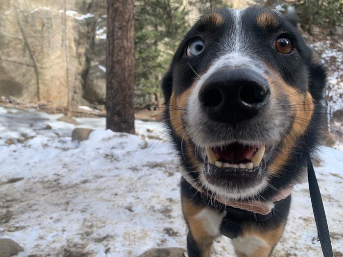 [Thumbnail for 9203E653-9054-4D51-8BD3-C4C03275AF00.jpeg]