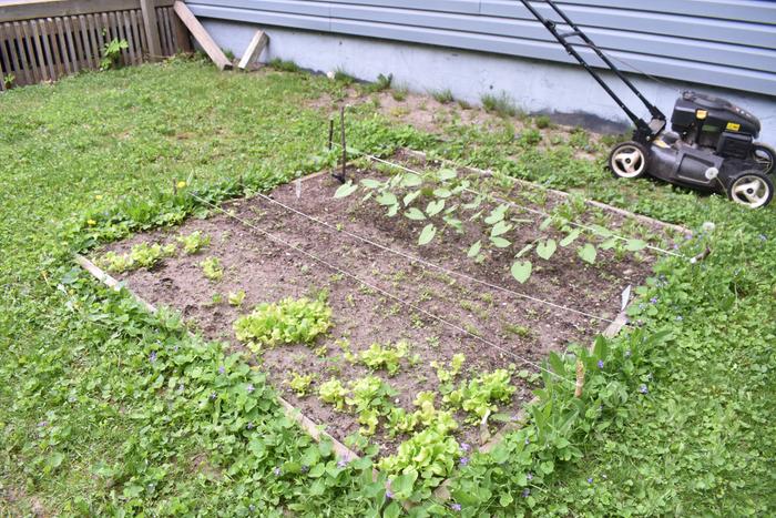 Plot at start of the season