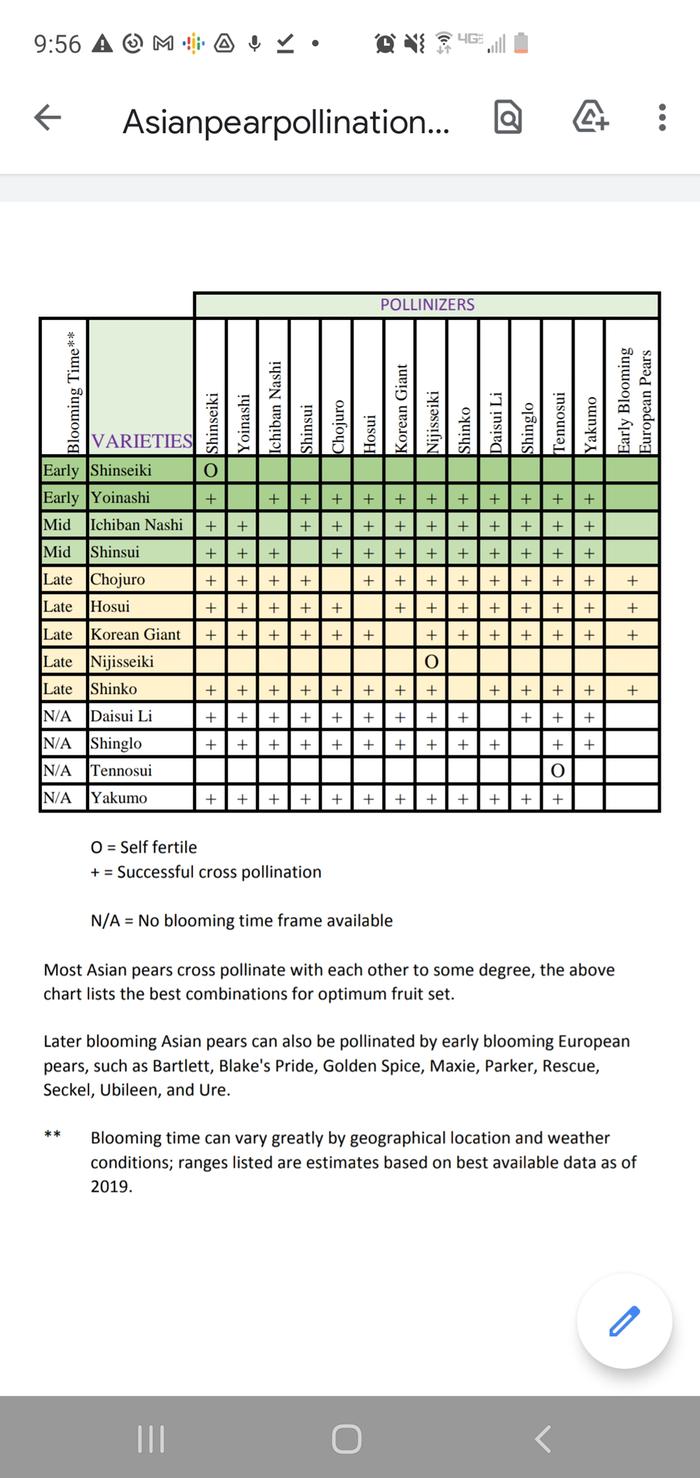 Asian pear flower blooming and pollination chart