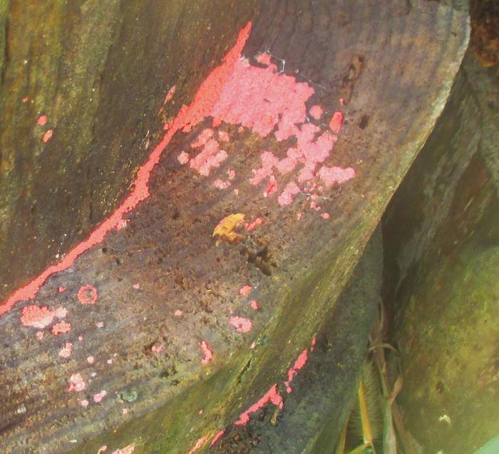 [Thumbnail for IMG_8375-(2).JPG]