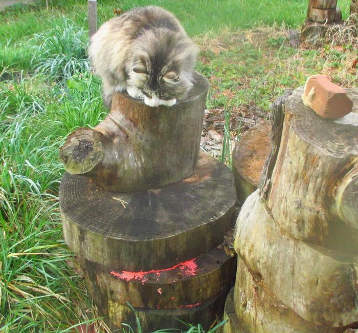 [Thumbnail for IMG_8378-(2).JPG]