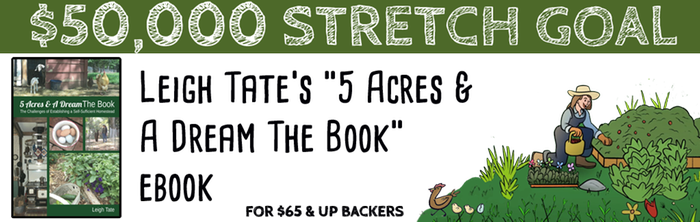 Yay for the next stretch goal!