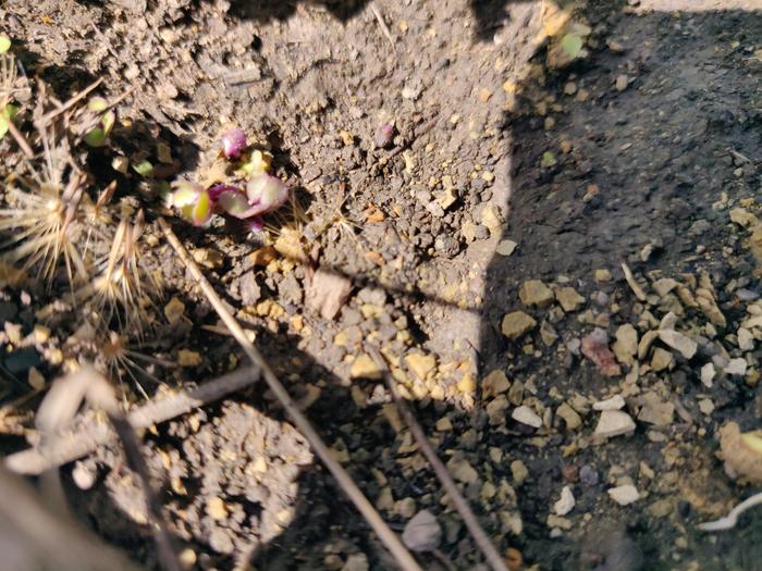 [Thumbnail for IMG_20210823_121520.jpg]