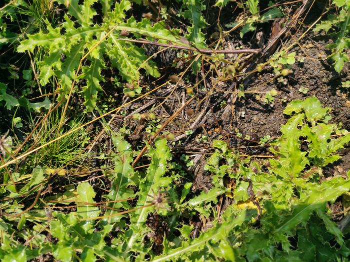 [Thumbnail for IMG_20210825_132253.jpg]