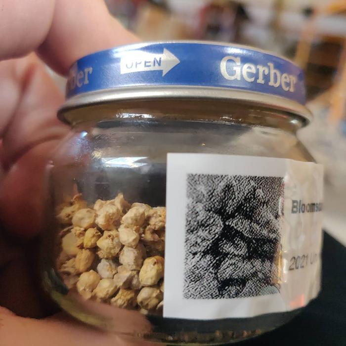Spinach seeds