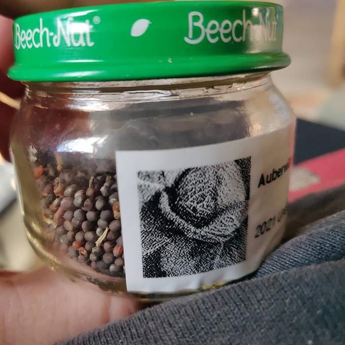 Cabbage seeds