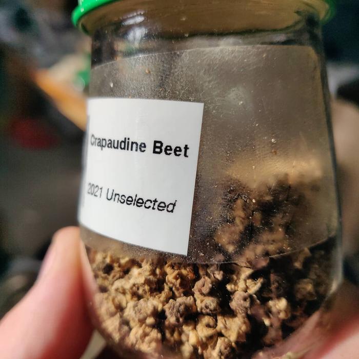 Crapaudine beets processed