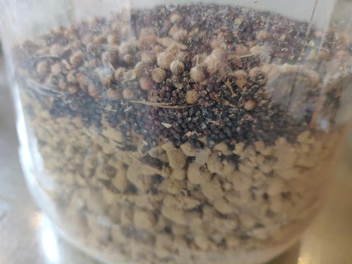 Reserved seed balls plus fresh seeds