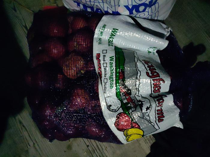 Apple harvest