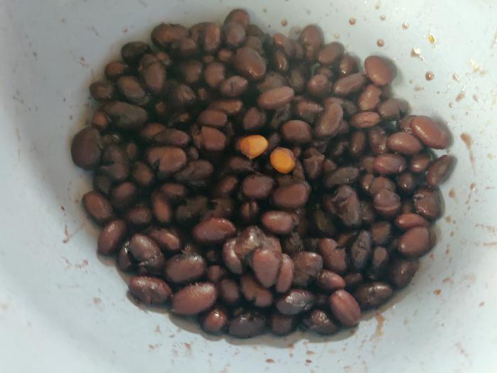 Black bean/popcorn test