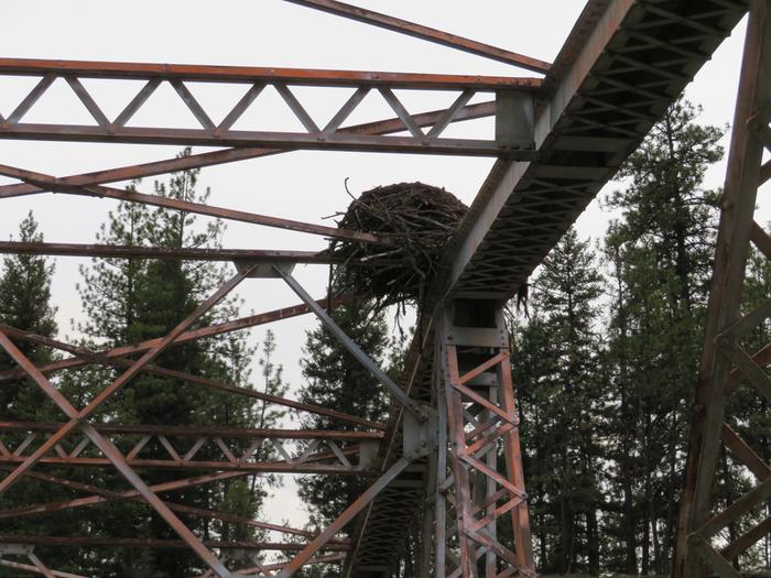 Large nest on river bridge