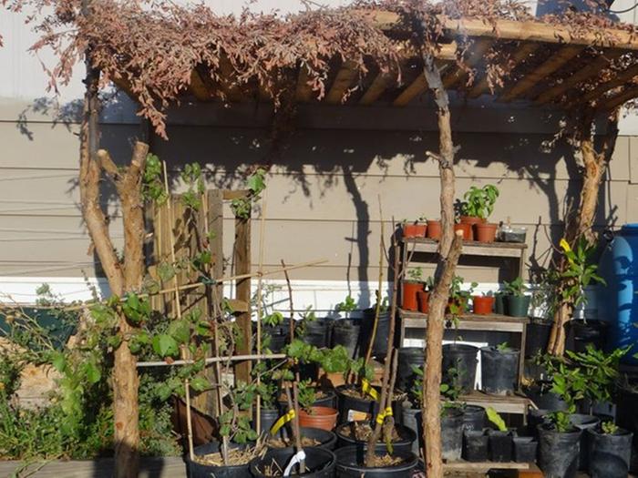 Temporary Pallet Shade for any area