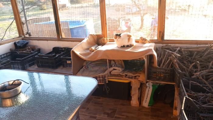 Outside bench showing storage