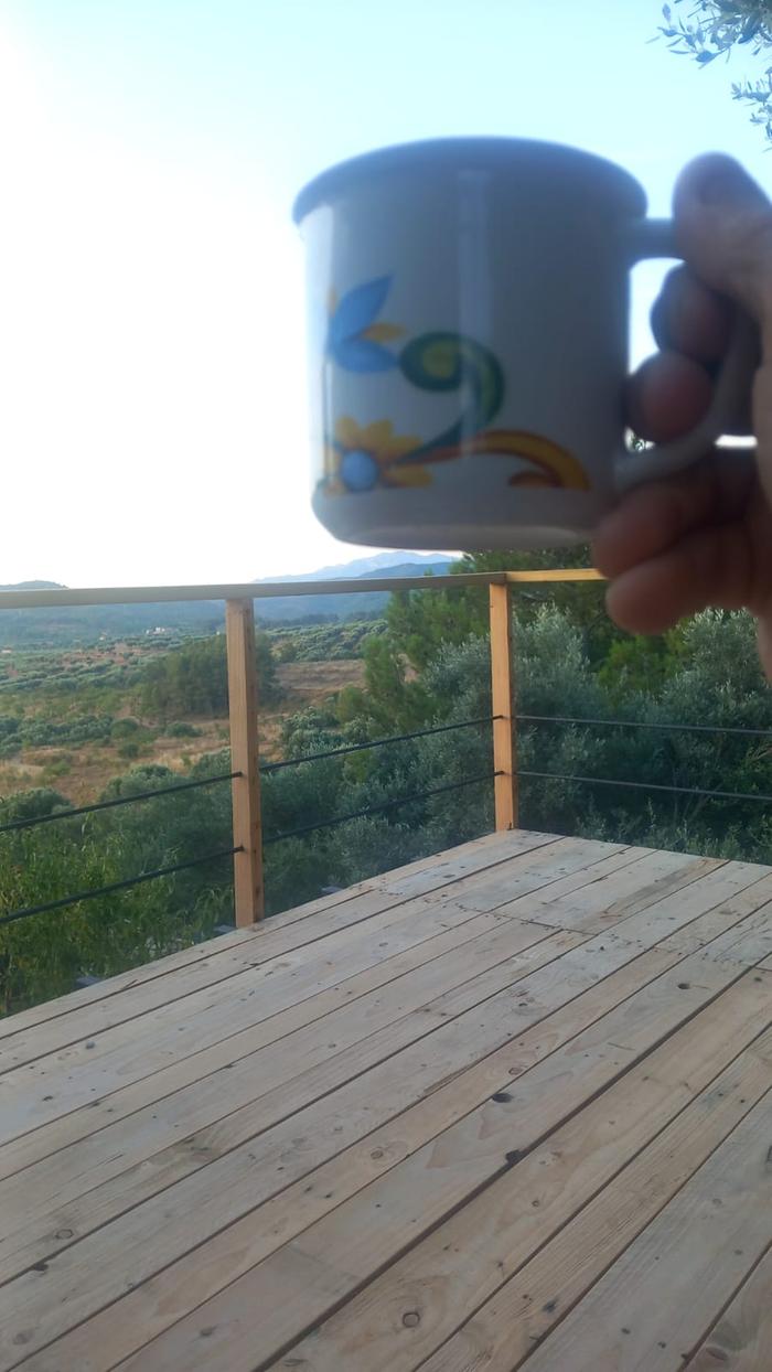 Lucky find of long pallets