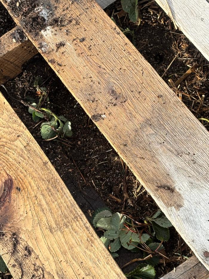 [Thumbnail for IMG_4442.jpeg]