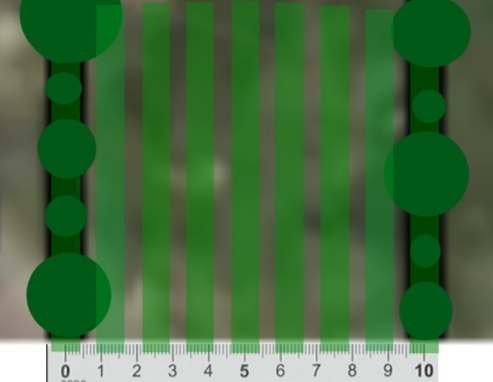 How it will look soon