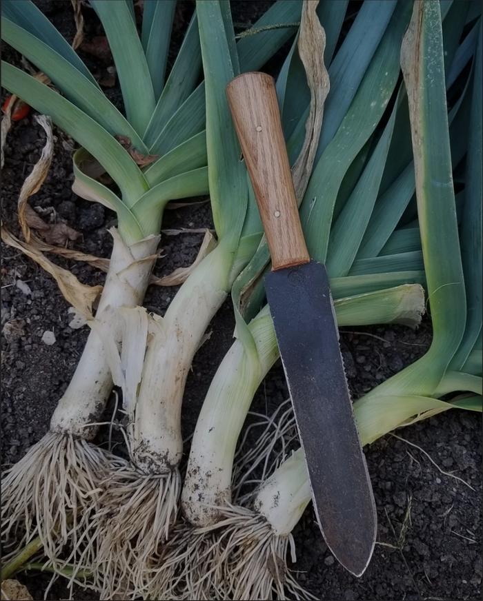 Hori Hori Garden Knife Photos