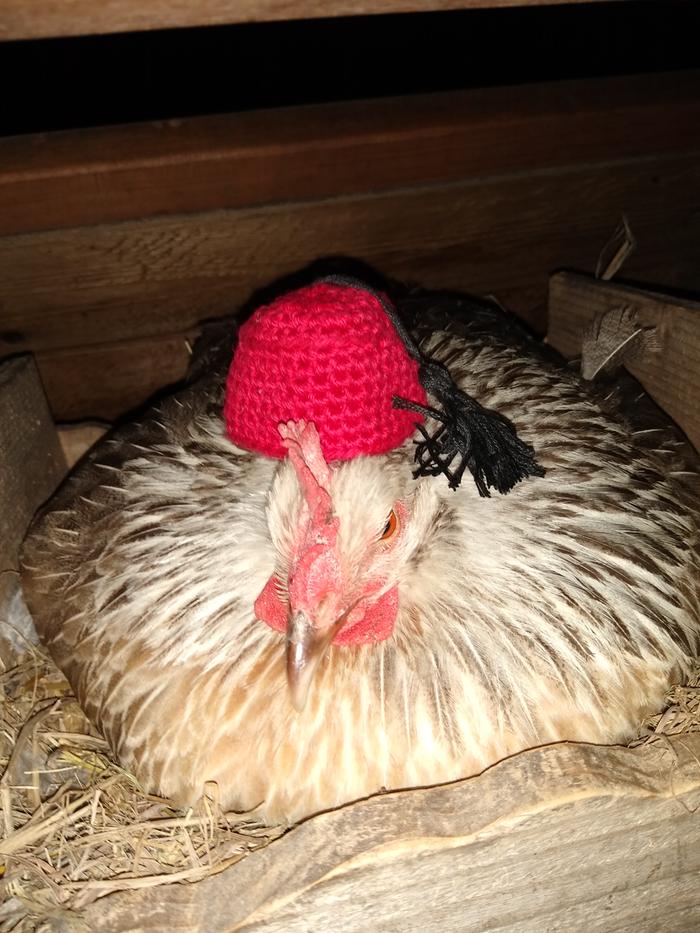 Hattie Dorking in her new hat