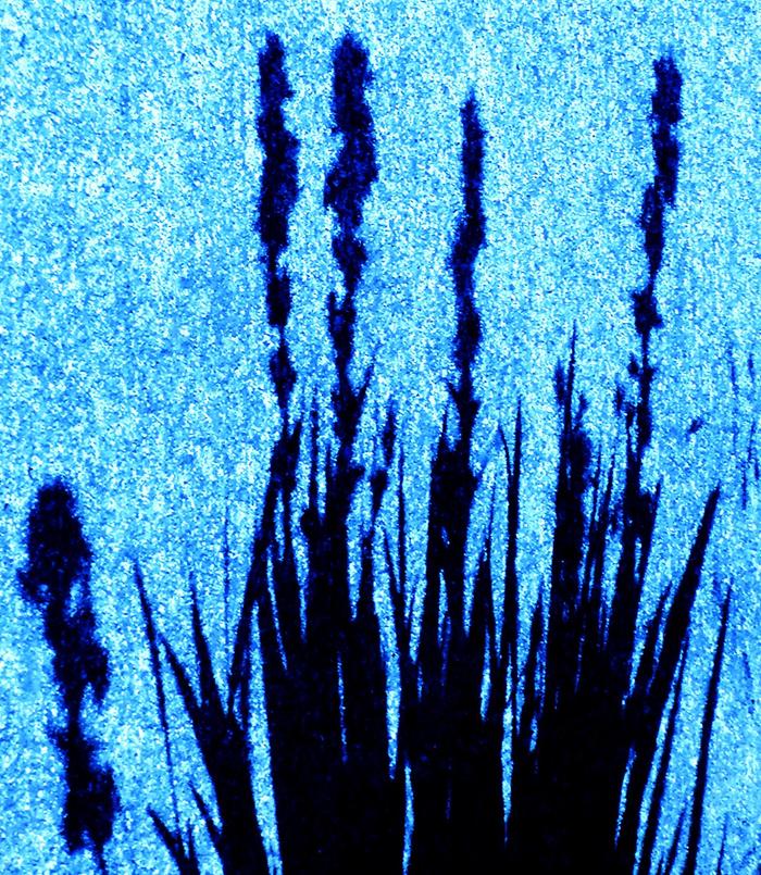 [Thumbnail for 285.JPG]