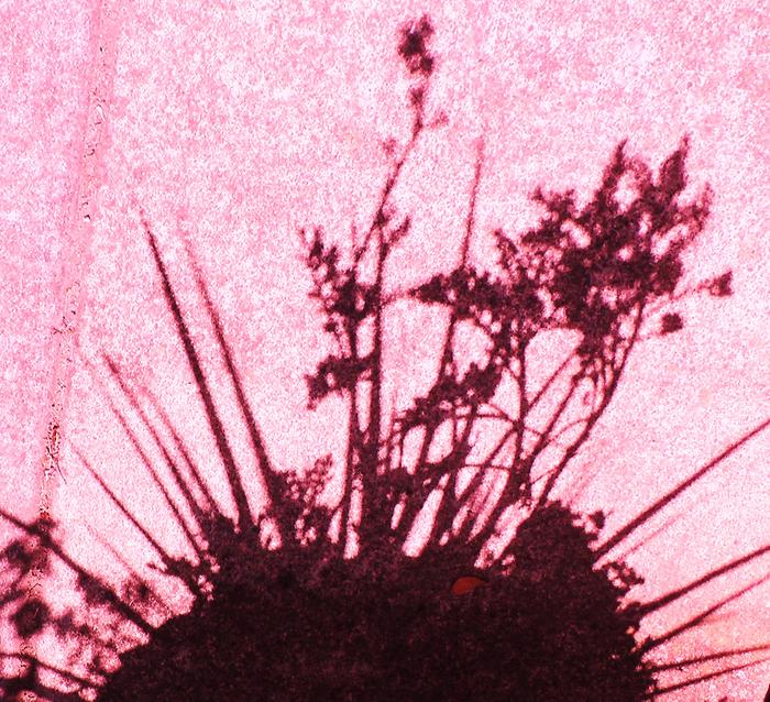 [Thumbnail for 309.JPG]