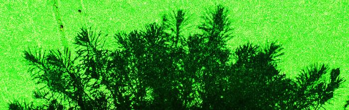 [Thumbnail for 268.JPG]