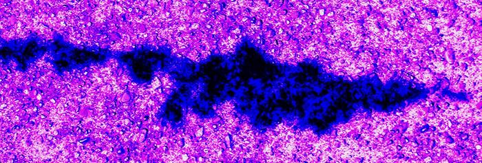 [Thumbnail for 346.JPG]