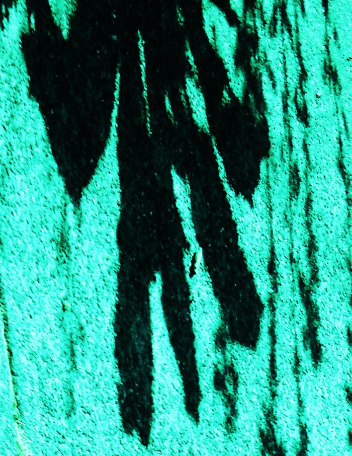 [Thumbnail for 342.JPG]