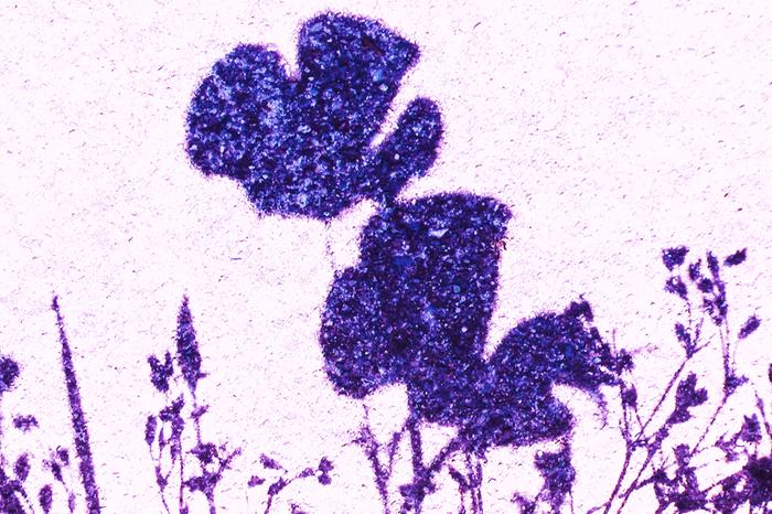 [Thumbnail for 292.JPG]