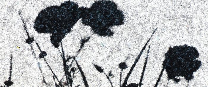 [Thumbnail for 296.JPG]