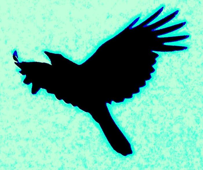 [Thumbnail for 251.JPG]