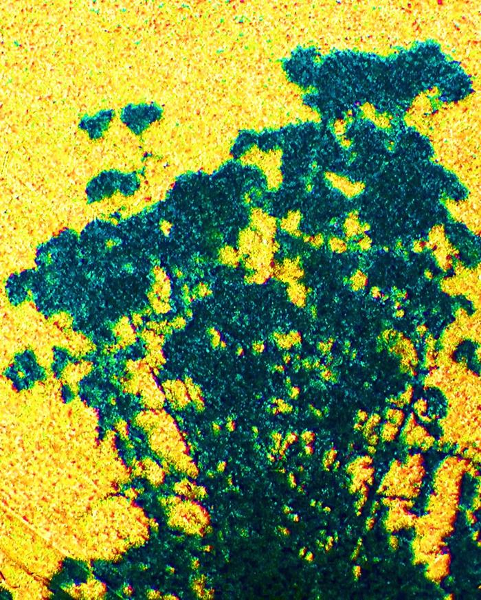 [Thumbnail for 118314.jpg]