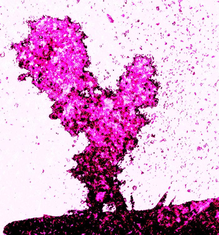 [Thumbnail for 12111.jpg]