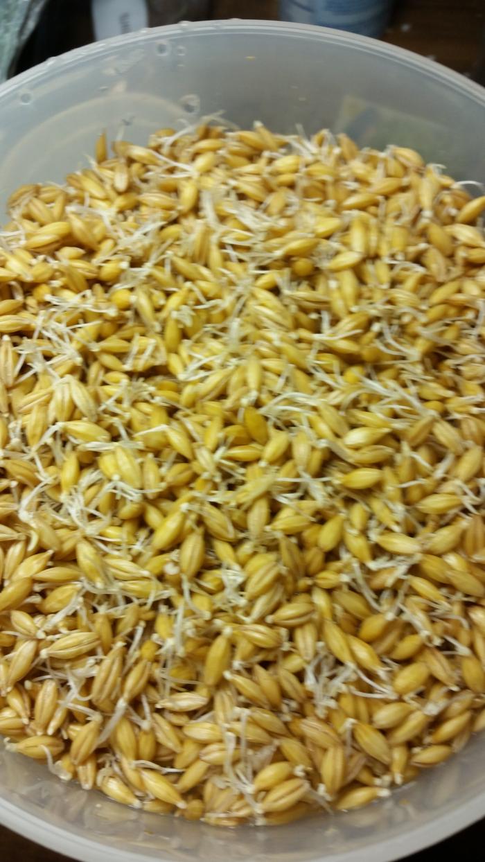 [Thumbnail for IMG_20210410_104003.jpg]