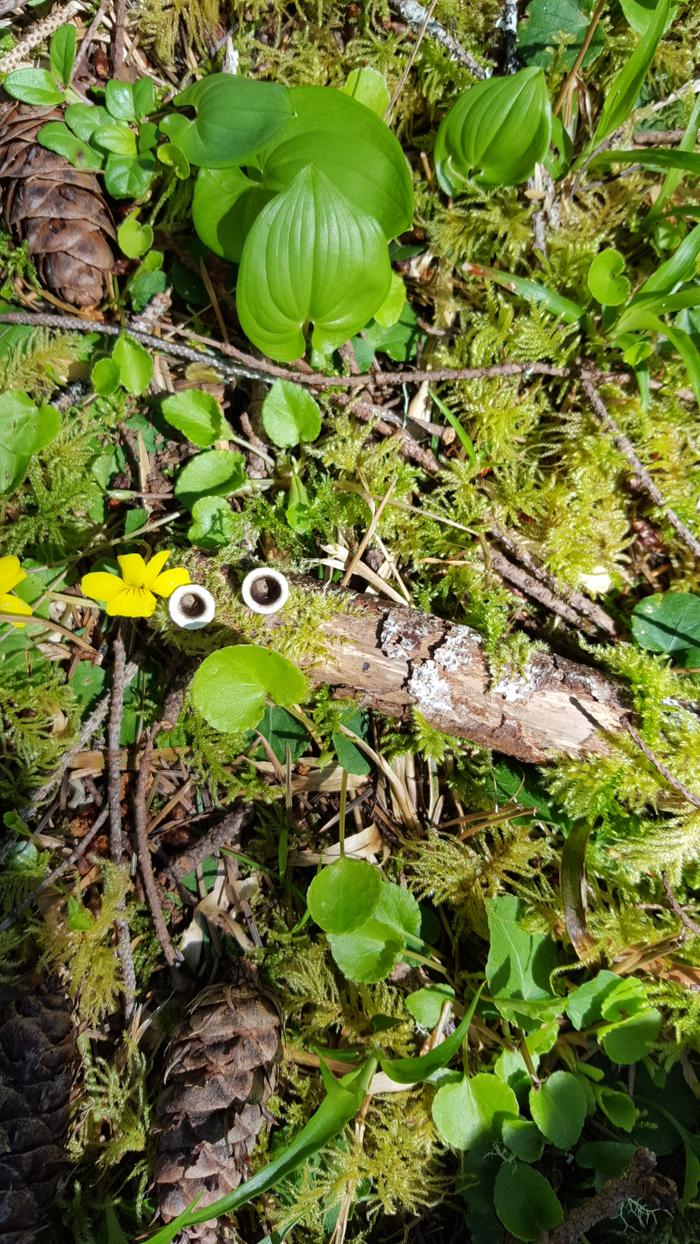 [Thumbnail for 20210411_133615.jpg]