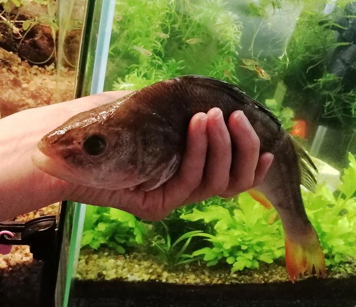 [Thumbnail for okon-web.jpg]