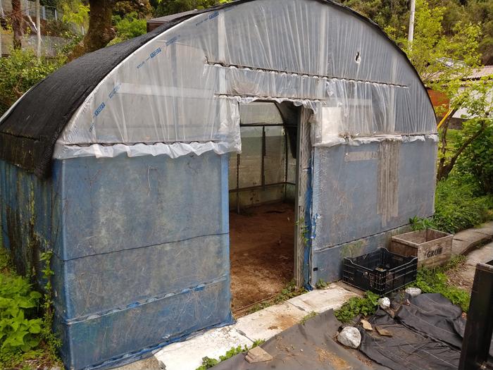 cleared out greenhouse from the front
