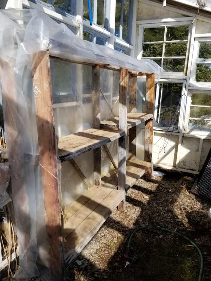 greenhouse shelves for starting seeds, uncovered