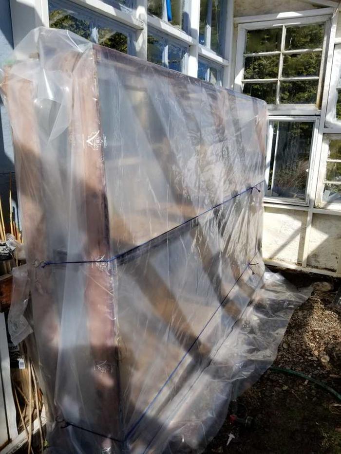 greenhouse shelves for starting seeds, covered
